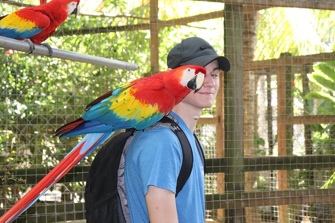 Zipline, Optional Monkeys/Sloths/Macaws Visit & West Bay Beach Resort: Roatan,HN - Key Points