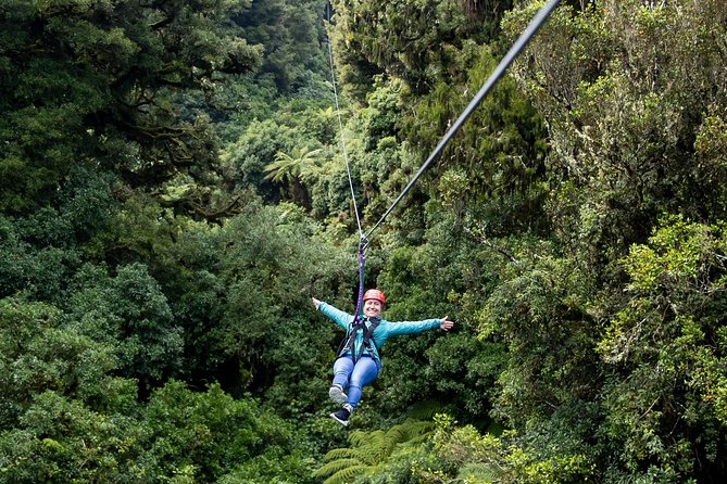 Ziplining Forest Adventure - The Original Canopy Tour Rotorua - Key Points