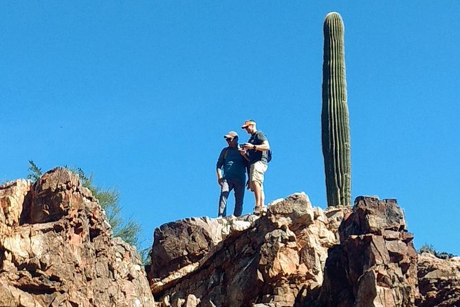 1/2 DAY SONORAN DESERT HIKE. Tour, Workout or Challenge Pace. - Key Points