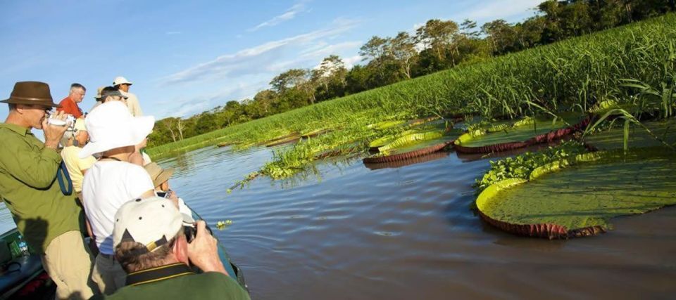 1 Day Excursion to Pacaya Samiria Reserve Piranha Fishing - Key Points