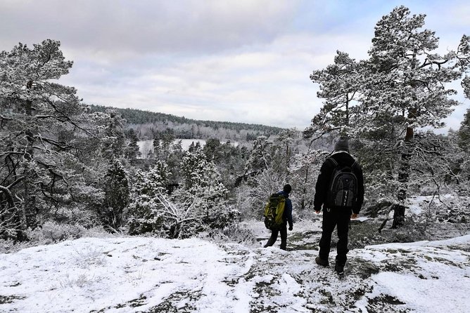 1-Day Small-Group Stockholm Nature Winter Hiking - Key Points