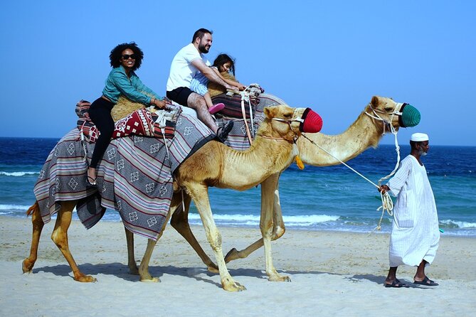 1 Hour Camel Ride Experience in Sealine Beach - Key Points