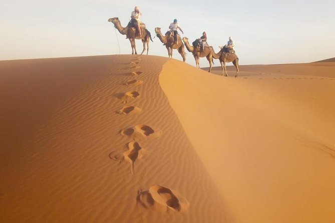 1 Night All Inclusive Camel Ride & Desert Camp - Booking Details for the Experience