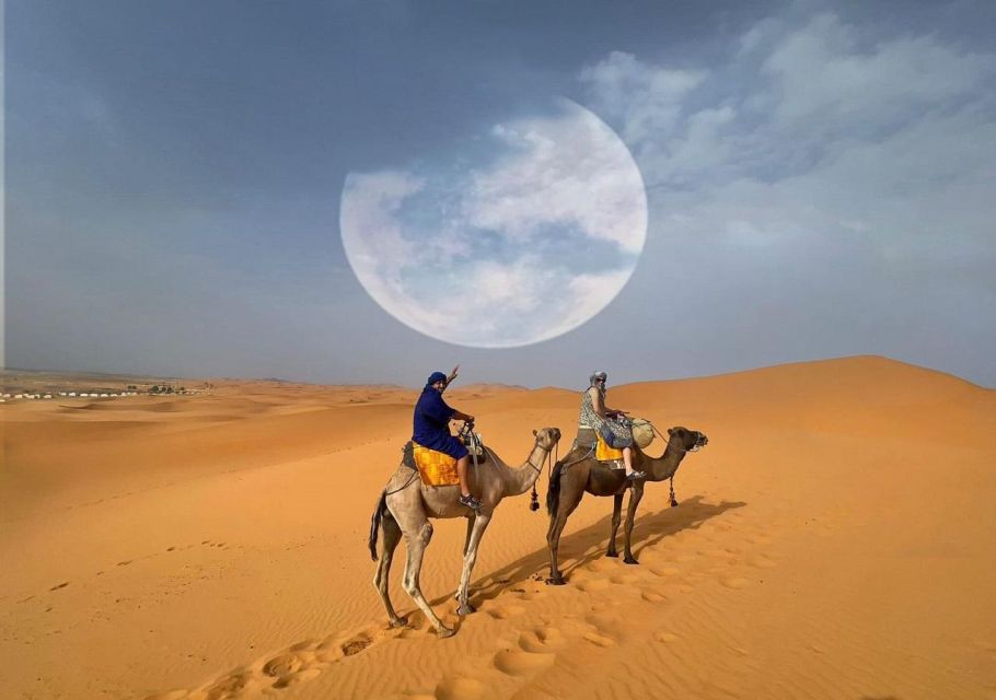 1 Night Camel Trek in Merzouga Desert - Key Points