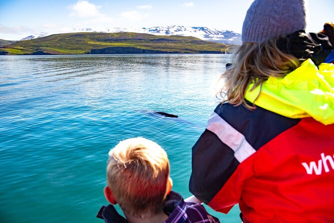 100% Whale Watching - Key Points