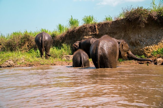 11 Day Tuk Tuk Adventure in Northern Thailand - Key Points