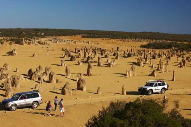 1-Day Pinnacles and Yanchep Tour From Perth