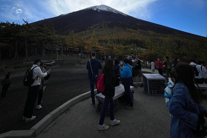 1 Day Private Tour in Mt.Fuji and Hakone English Speaking Driver