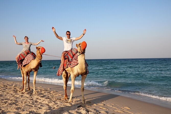 1 Hour Camel Ride Experience in Sealine Beach