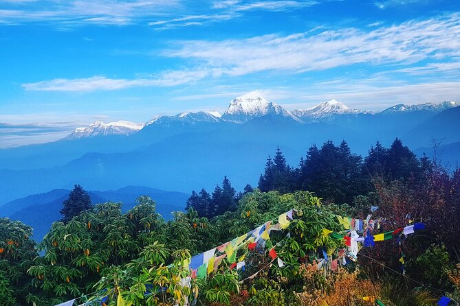 11-Day Hike Tour to Annapurna Base Camp Bliss in Kathmandu