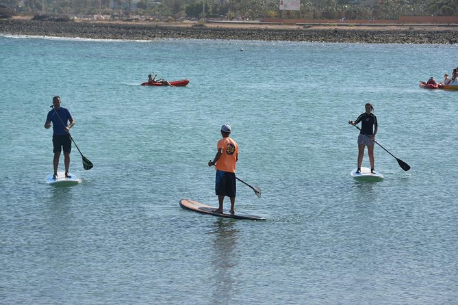 1 15 hour beginners stand up paddle course in caleta de fuste 1,5-Hour Beginners Stand up Paddle Course in Caleta De Fuste