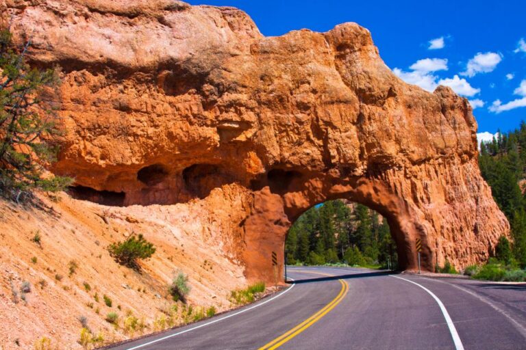 15 National Parks Self-Guided Driving Tours Bundle