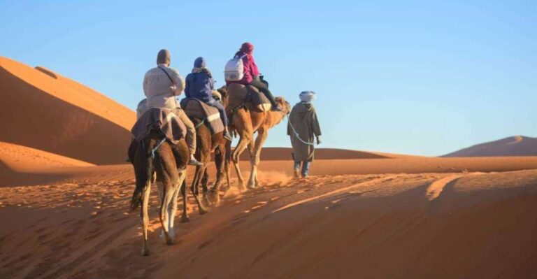 2-Day, 1-Night Desert Trip to Merzouga From Ouarzazate