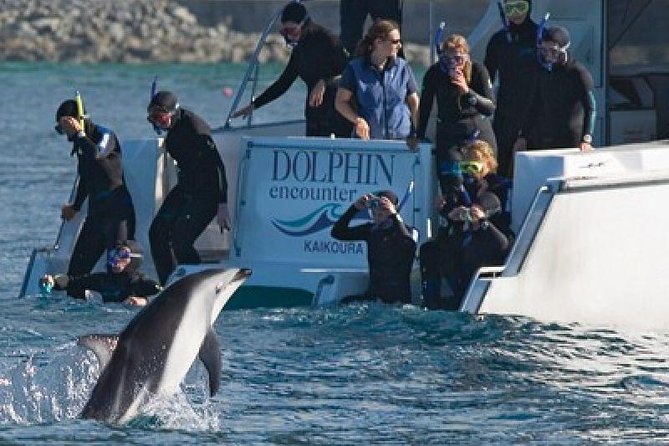 1 2 day kaikoura whale and dolphin tour from christchurch 2 Day Kaikoura Whale and Dolphin Tour From Christchurch