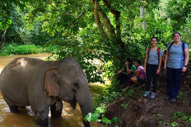 2-Day Kindred Spirit Elephant Sanctuary in Chiang Mai