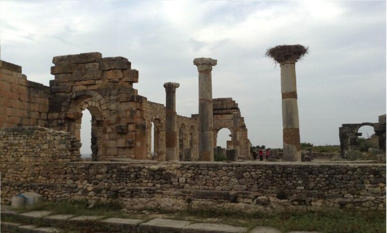 2-Day Tour From Fes: Volubilis, Meknès & Chefchaouen