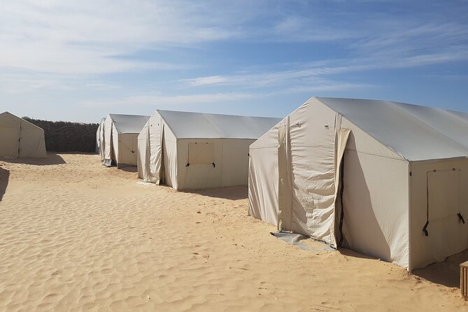 2-Day Tunisia Sahara Desert Camel Trek From Douz