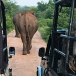 1 2 days tour to bentota galle yala from colombo 2 Days Tour To Bentota Galle & Yala From Colombo