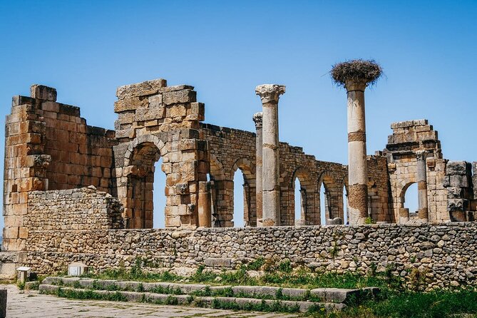 1 2 days tours from fez to fez via chefchaouen meknes volubilis 2 Days Tours From FEZ to FEZ via Chefchaouen, Meknès , Volubilis
