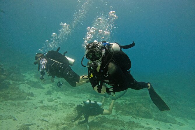 2 Dives for Certified Divers in Fujairah With Lunch & Transfer