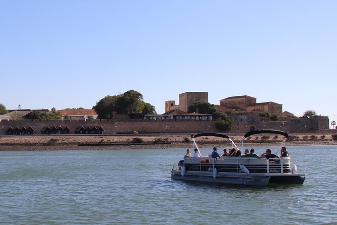 2-Hour Bird Watching Guided Boat Trip in Ria Formosa From Faro Algarve