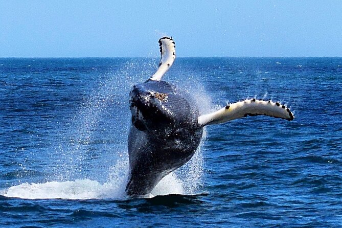 2-Hour Guided Boat Tour From St. Johns