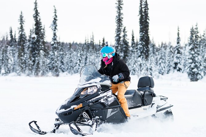 1 2 hour guided snowmobile tour in fairbanks 2-Hour Guided Snowmobile Tour in Fairbanks