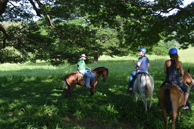 2-Hour Horseback Riding Tour in Guanacaste