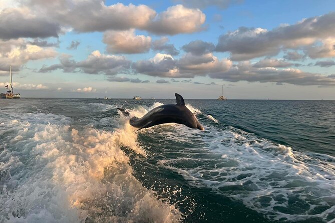 1 2 hour private dolphin sightseeing tour in panama city beach 2 Hour Private Dolphin Sightseeing Tour in Panama City Beach