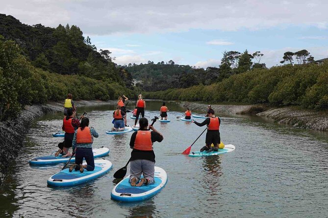 2-Hour Stand-Up Paddle Boarding Tour to Lucas Creek Waterfall