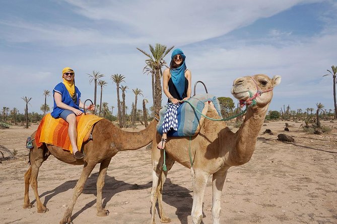 2 Hours Camel Ride in The Famous Marrakech Palm Groves and Berber Villages