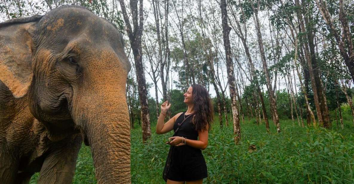 1 2 hours early bird guide tour in khao lak elephant sanctuary 2 Hours-Early Bird Guide Tour in Khao Lak Elephant Sanctuary