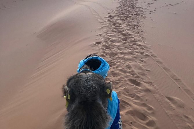 2 Night Camel Trekking in Merzouga Desert