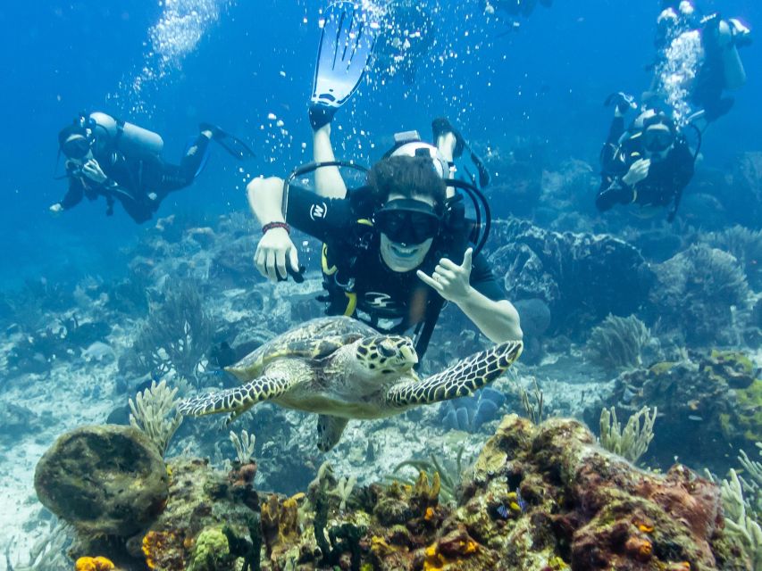 2 Tank Dive In Cozumel's Marine National Park