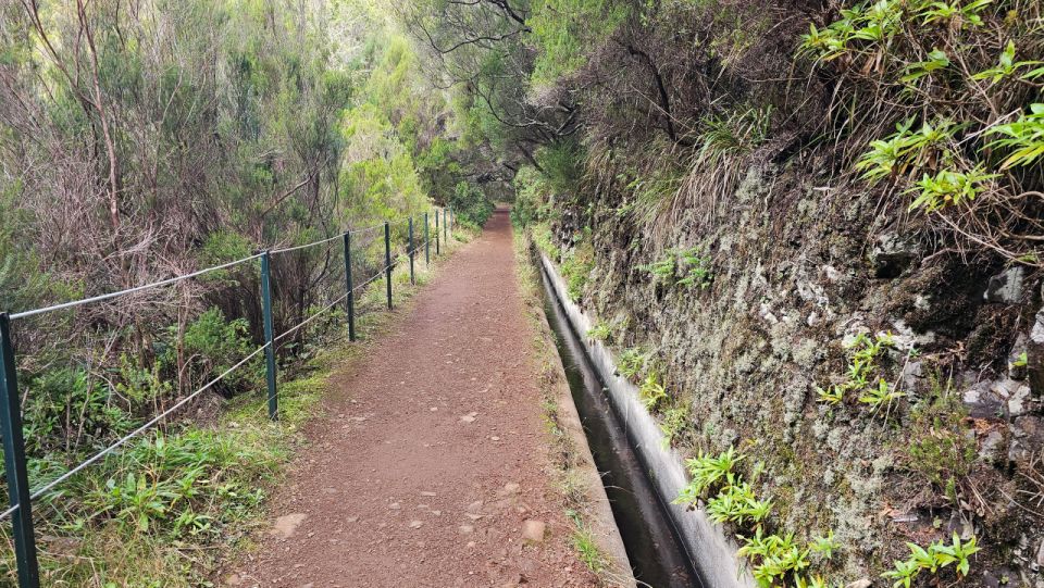 1 25 fontes levada hike rabacal calheta 25 Fontes Levada Hike - Rabaçal (Calheta)