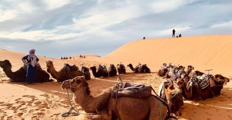 3-Day Desert Excursion From Tangier