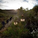 1 3 day private hiking trail in the overberg 3-Day Private Hiking Trail in The Overberg
