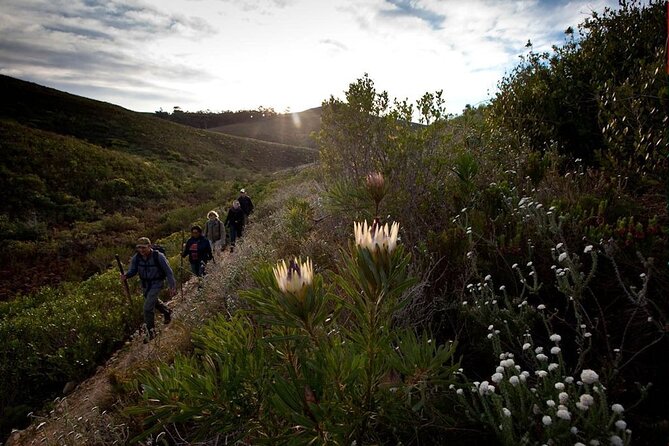 3-Day Private Hiking Trail in The Overberg