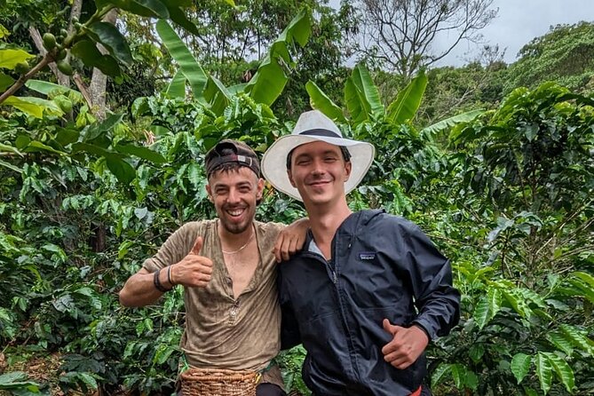 3 Day Private Tour Authentic Coffee Experience in Colombia
