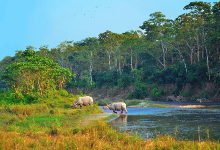 3 Days Chitwan Safari Tour