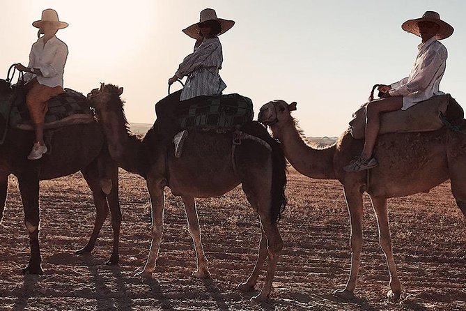 3 Days: Private Desert Tour From Marrakech to Merzouga via Atlas & Camel Trek