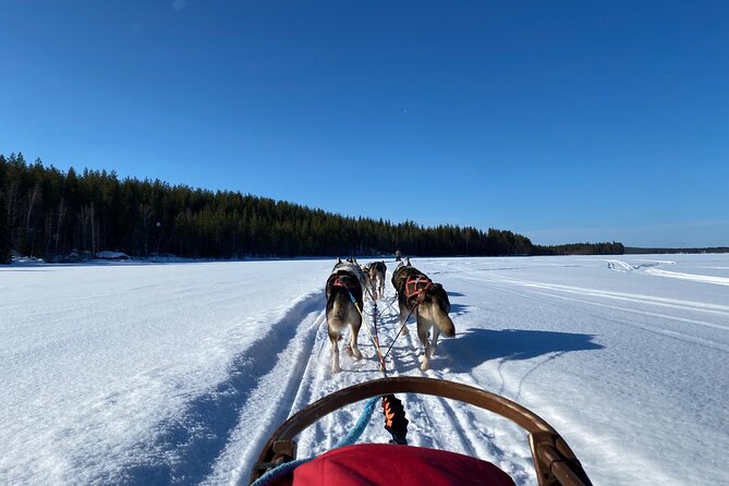 3 Days Tour Rovaniemi in Lapland