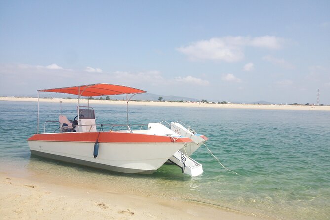 3 Hour Boat Tour in Ria Formosa