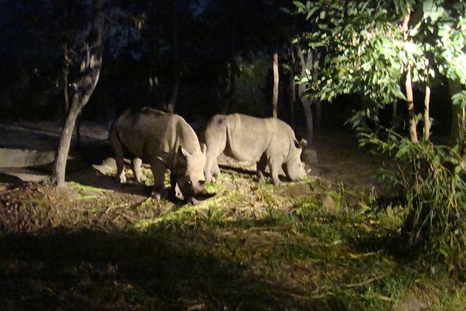 3-Hour Chiang Mai Night Safari