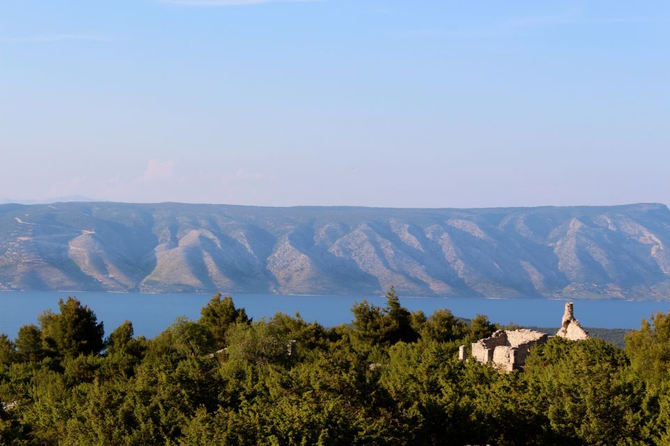 3-Hour Lavender Tour From Hvar