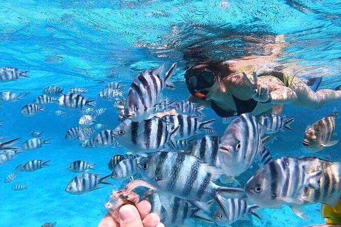 3-Hour Private Lagoon Tour Bora Bora