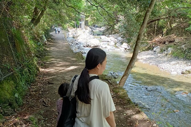 3-Hour Private Tour in Osaka Rapids Hike and Natural Hot Spring