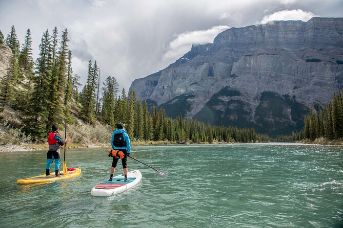 3 Hour River Stand Up Paddling in Canmore - Key Points