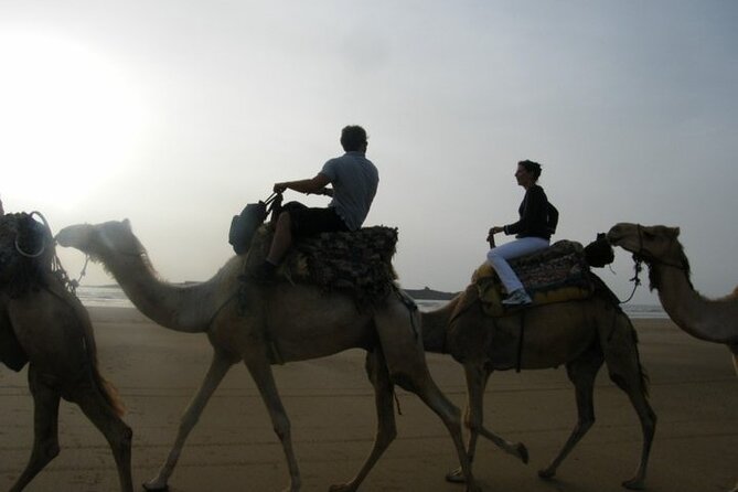 1 3 hours camel ride in essaouira with dinner and overnight in berber camp 3 Hours Camel Ride in Essaouira With Dinner and Overnight in Berber Camp