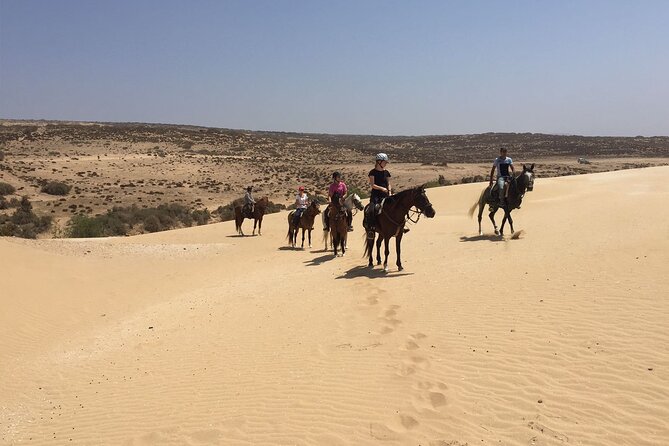 3 Hours Horse Riding in Essaouira, Beach, Forest and Dunes